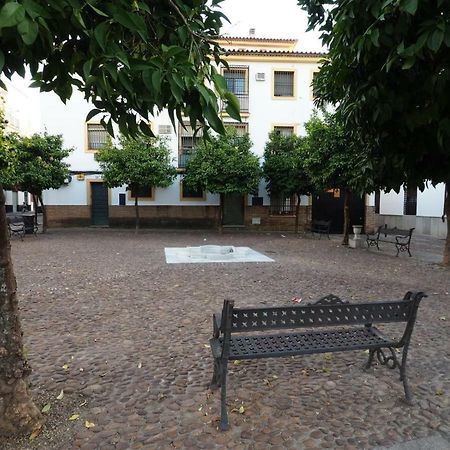 Calle Abejar,Plaza Córdova Exterior foto